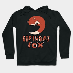 9th Birthday Fox Lover 9 Years Old Boys And Girls Party graphic Hoodie